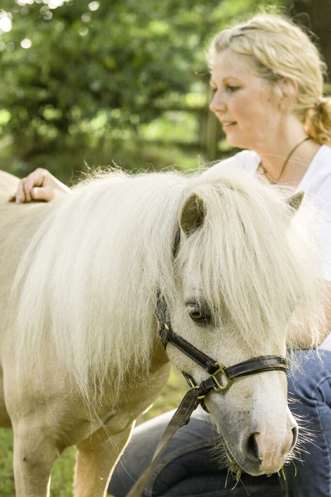 Tierheilpraxis-Sarah-Kopmann-Behandlung-Pferd